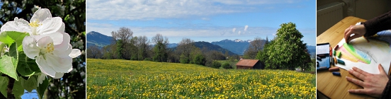 website-deine-liebe-sagt-mir-allgaeu