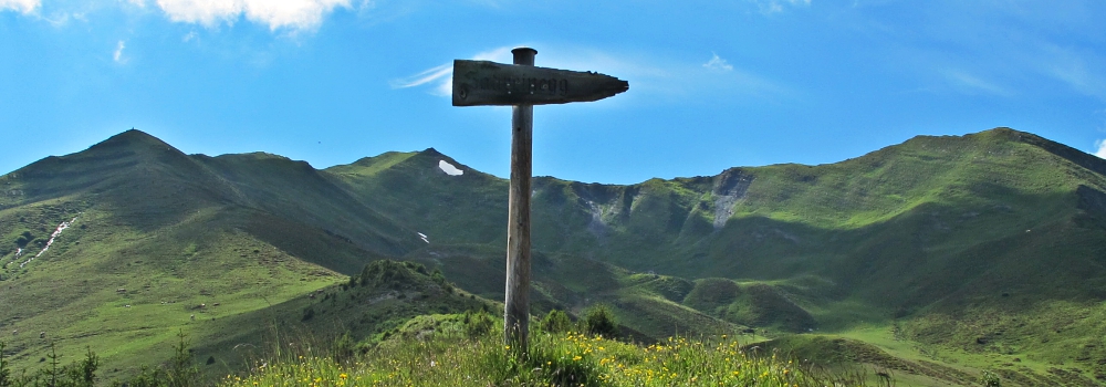 HSP – Trifft das auf mich zu?